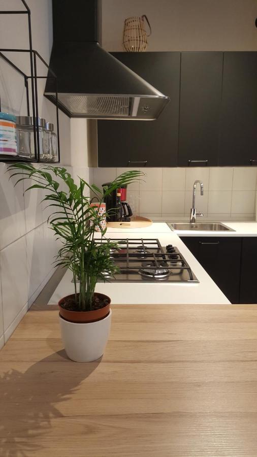 Appartement Sveti Vid à Rijeka Extérieur photo